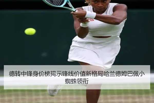 德转中锋身价榜揭示锋线价值新格局哈兰德姆巴佩小蜘蛛领衔 - leyu.comapp